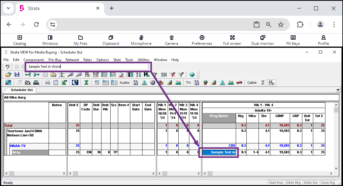 A screenshot of a computer  Description automatically generated